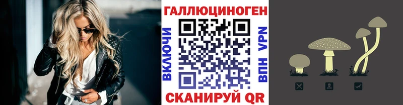 Галлюциногенные грибы Cubensis  Приморск 